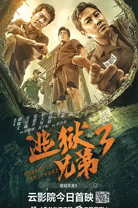 一插菊花网